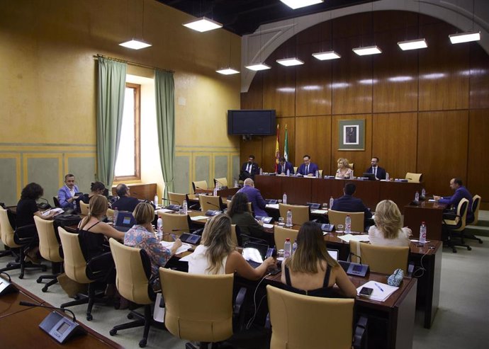 Archivo - Reunión de la comisión de Universidad, Investigación e Innovación del Parlamento andaluz. (Foto de archivo).