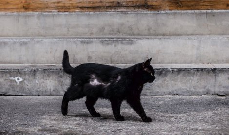 Comunicados Sociedad