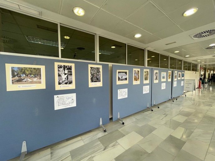 Imagen de archivo de una muestra fotográfica en el centro hospitalario.