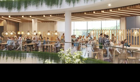 Comunicados Sociedad