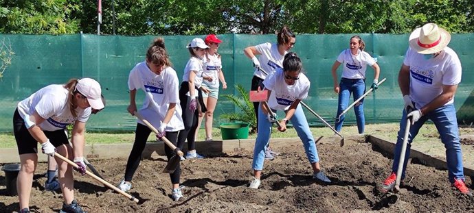 Carrefour celebra este martes su 'Día de la Buena Gente' participando en diferentes proyectos asistenciales.