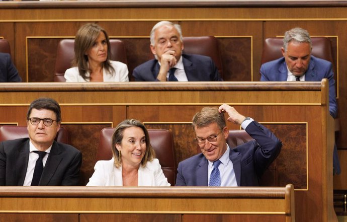 Archivo - El presidente del Partido Popular, Alberto Núñez Feijóo (d), y la secretaria general del Partido Popular, Cuca Gamarra (c), durante la Sesión Constitutiva de la XV Legislatura en el Congreso de los Diputado