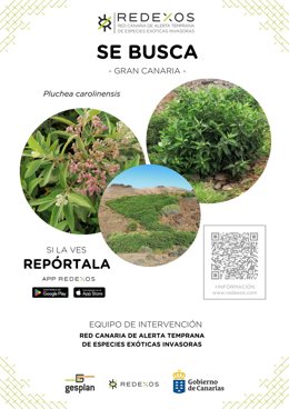 El Cabildo de El Hierro se ha incorporado recientemente como colaborador, en calidad de miembro, de la Red de Alerta Temprana de Especies Exóticas Invasoras (RedEXOS), un proyecto impulsado por el Gobierno de Canarias