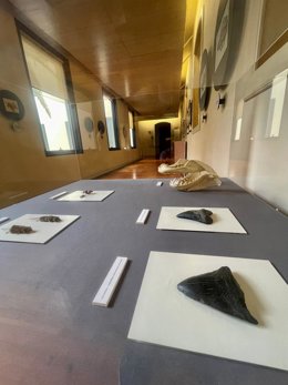 Museo de Naturaleza y Arqueología (MUNA)