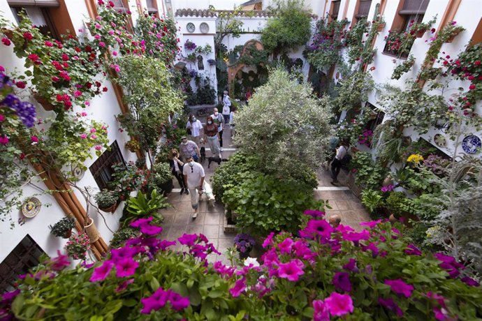 Archivo - Vista del Patio de la calle Chaparro, a 10 de mayo de 2022, en Córdoba, Andalucía (España), en el Festival de Patios de Córdoba.