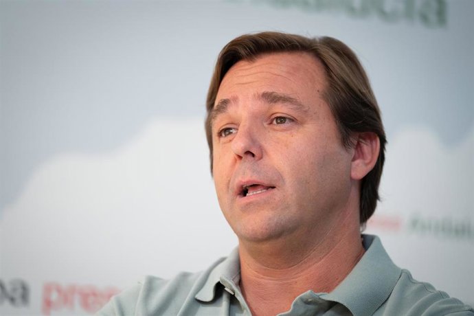 Archivo - El secretario general del PP andaluz, Antonio Repullo