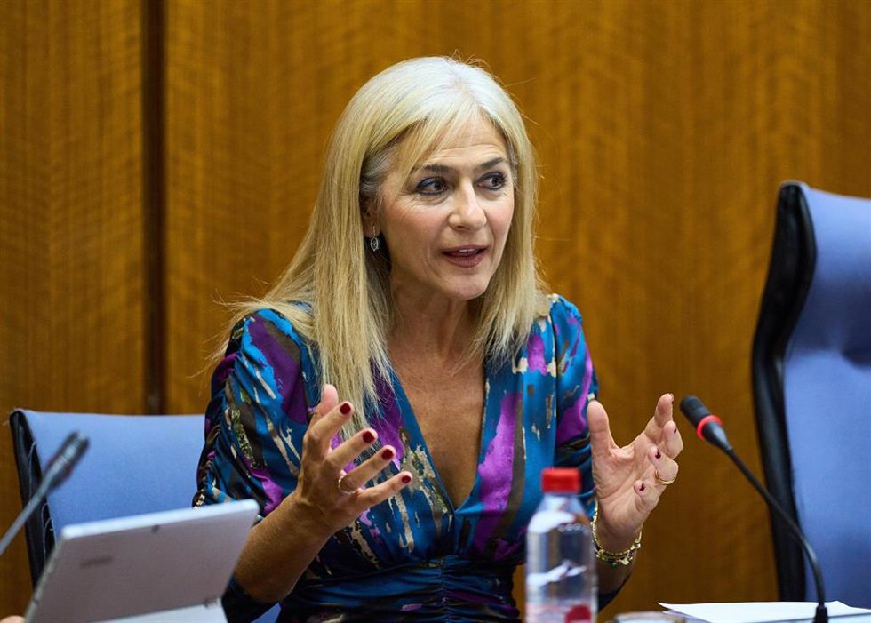 La consejera de Desarrollo Educativo y Formación Profesional, Patricia del Pozo, en comisión parlamentaria