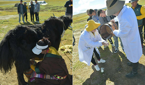Comunicados Internacional