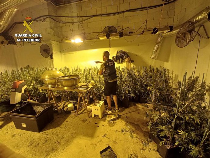 Np 20Sep23 Weedgross