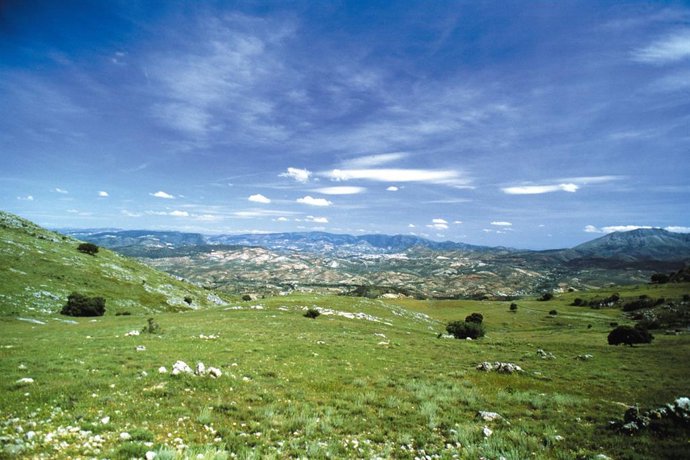 Archivo - Imagen de archivo de un espacio natural de Andalucía.