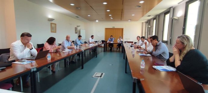 El Comite de Dirección del Servicio de Salud balear.