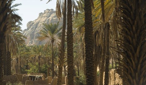 Comunicados Internacional