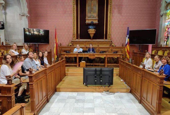 Consell Rector del IMAS.