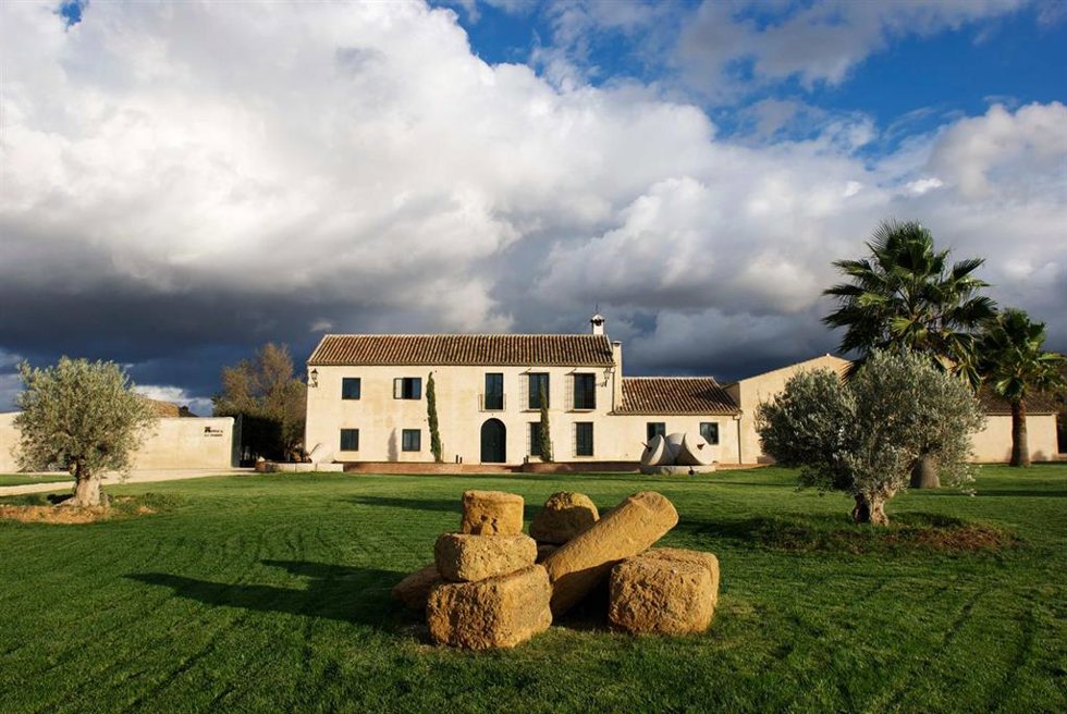 Almazara Finca La Torre