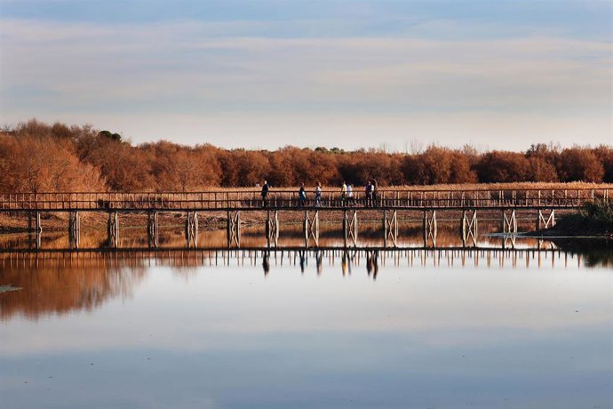 Archivo - Varias personas visitan el humedal del parque nacional de las Tablas de Daimiel, a 29 de diciembre de 2022, en Ciudad Real, Castilla-La Mancha (España). El humedal de las Tablas, de casi 2.000 hectáreas de zona inundable, tenía solo 50 ha de a