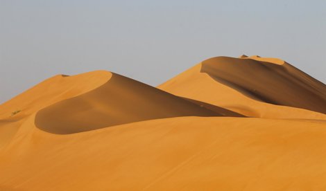 Comunicados Internacional
