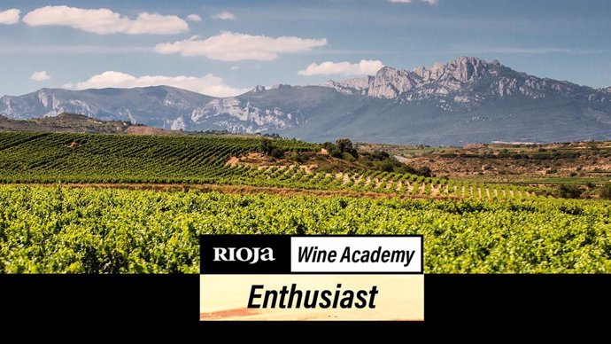 Rioja lanza el primer curso exprés con el que adquirir conocimientos básicos para disfrutar "más" del vino