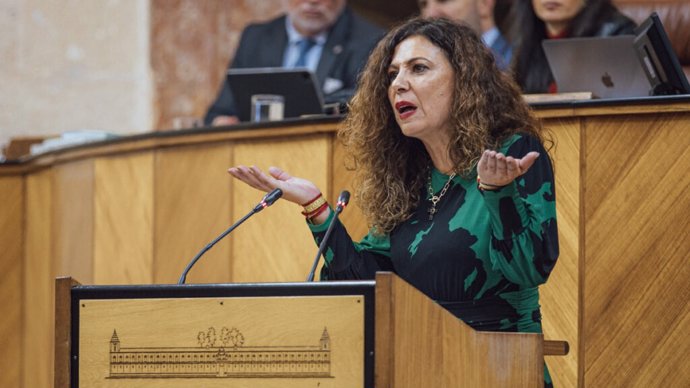 La diputada del Grupo Parlamentario Vox en el Parlamento de Andalucía Ana Ruíz