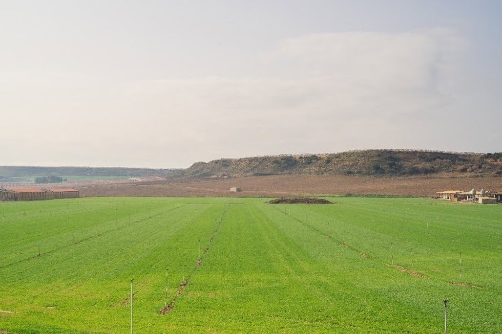 Imagen de un campo de cultivo
