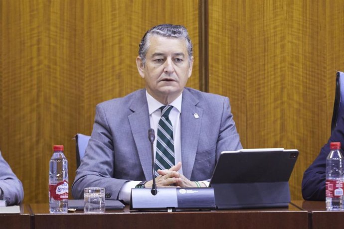 Archivo - El consejero de Presidencia, Interior, Diálogo Social y Simplificación Administrativa, Antonio Sanz (Fotografía de archivo)