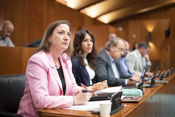 Comisión de Fomento en las Cortes de Aragón.