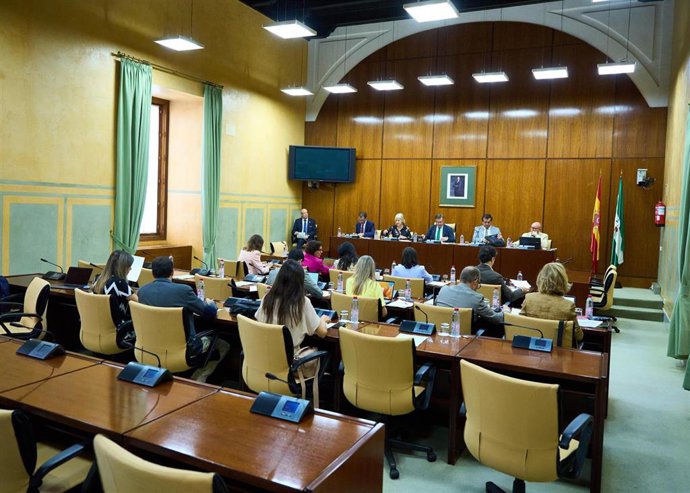 Comisión de Desarrollo Educativo y Formación Profesional en el Parlamento