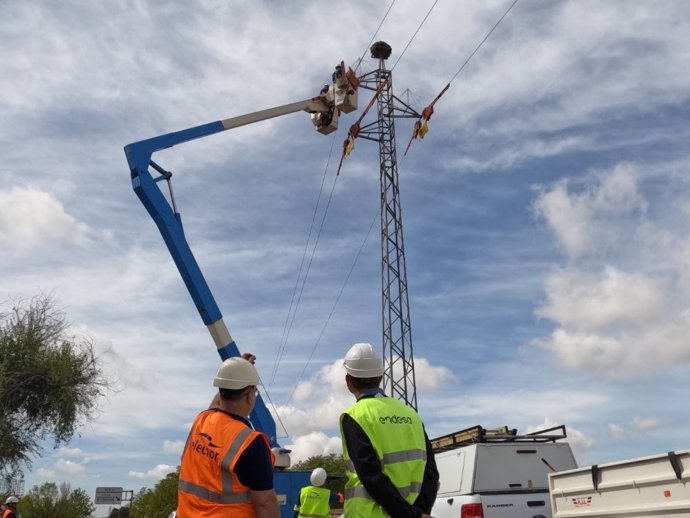 Labores de mantenimiento de nidos de cigüeñas en torres de media tensión.