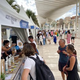 Imagen de archivo de la celebración de Málaga Cruise Days que tiene lugar en el Palmeral de las Sorpresas de la capital malagueña.