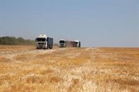 Ucrania y Eslovaquia llegan a un acuerdo de exportación de grano que permite levantar el polémico veto