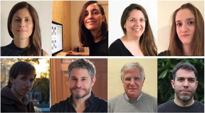 Se ha distinguido a dos profesoras de la Facultad de Psicología y Logopedia de la UMA, María José Torres Prioris y Diana López Barroso, así como al director de la Unidad de Neurología Cognitiva y Afasia de la UMA, el catedrático Marcelo L. Berthier