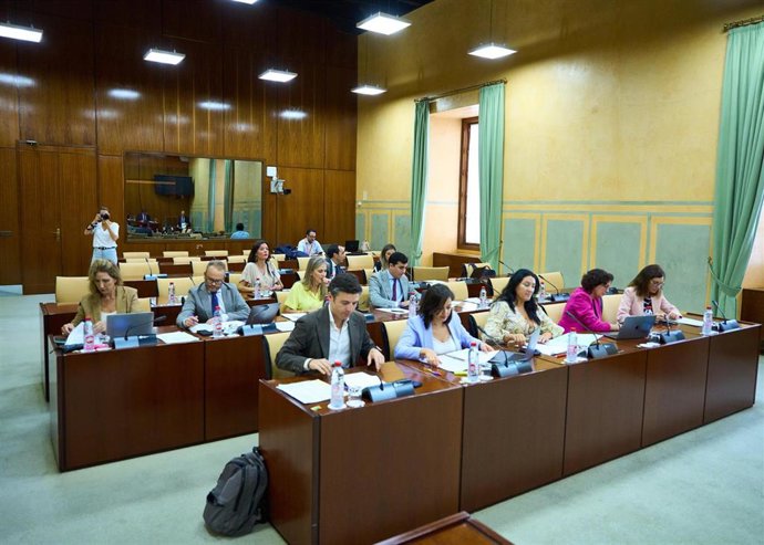 Imagen de este jueves de la Comisión de Desarrollo Educativo del Parlamento de Andalucía.