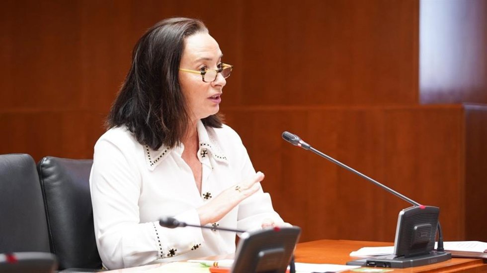 La portavoz de VOX en la Comisión de Fomento, Vivienda, Movilidad y Logística, Carmen Rouco.