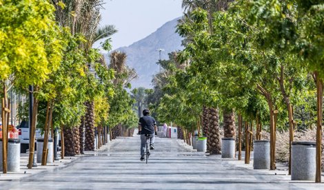 Comunicados Internacional