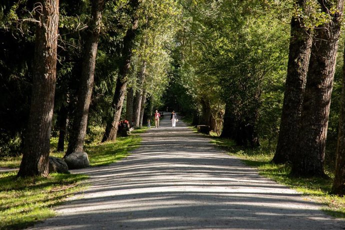 Un camino el día que da comienzo el otoño 2023, en el Bosque Finlandés, a 20 de septiembre de 2023, en Rascafría, Madrid (España). El otoño de 2023 en el hemisferio norte comienza el sábado 23 de septiembre, según cálculos del Observatorio Astronómico N