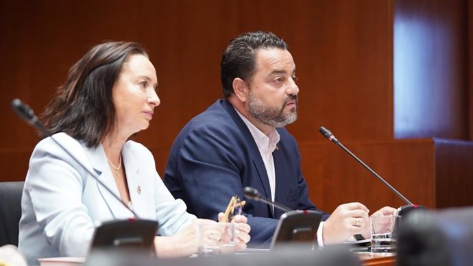 Diputados de VOX en la Comisión de Bienestar Social y Familia.