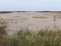 Ecologistas lamenta la "dejación de funciones" con el acuífero de Doñana: "Se sobreexplota desde los 90"