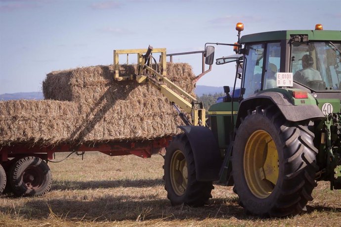 Archivo - Un tractor durante la recogida de trigo