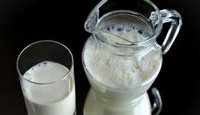 Ganaderos avisan de que la decisión de Agama de comprar menos leche supone "la muerte del sector en Mallorca"