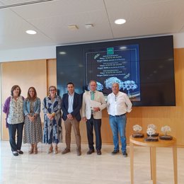 Fallo de los premios a los mejores aceites AOVE de la provincia que otorga la Diputación de Sevilla.