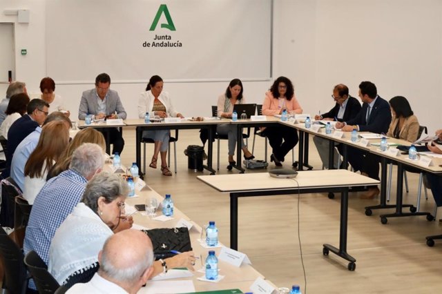 Consejo Andaluz de Mayores celebrado en la Consejería de Inclusión Social, Juventud, Familias e Igualdad en Sevilla.