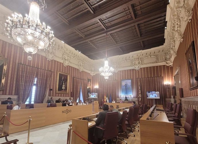 Comisión de control celebrada este viernes en el Ayuntamiento y en la que el PSOE ha criticado la retirada de los separadores de los carriles bus en Sevilla.