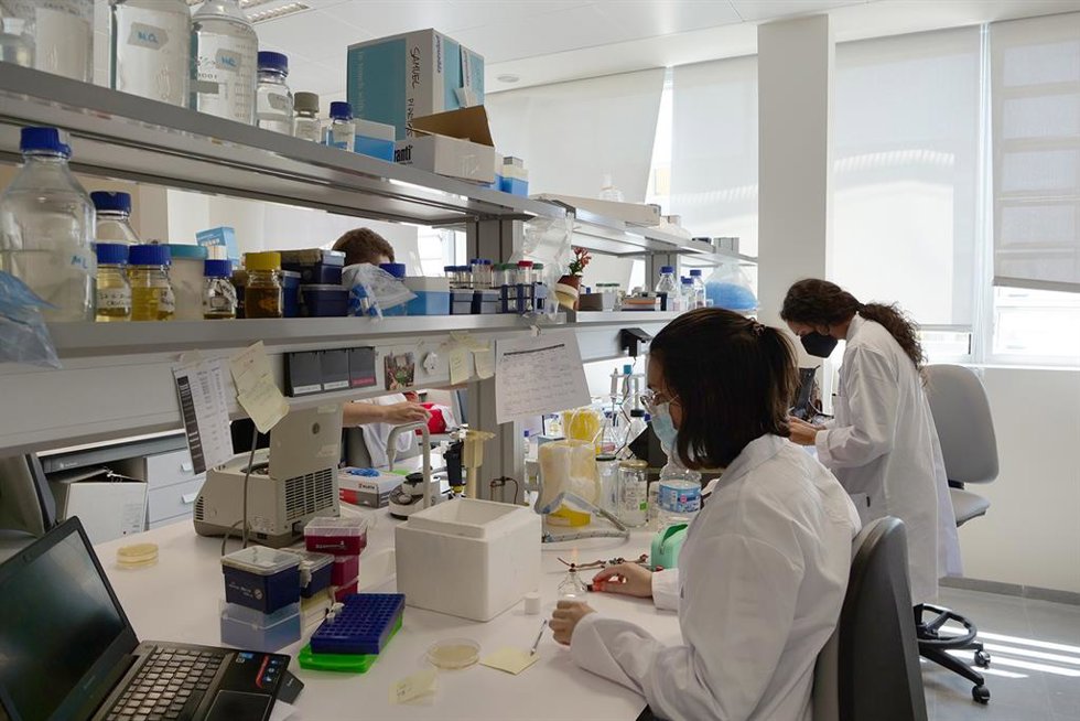 Archivo - 14 Nuevos Jóvenes Investigadores Se Suman A La Plantilla De La Universidad De Málaga