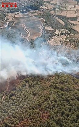 Bombers trabaja en un incendio forestal en Vespella de Gai (Tarragona)