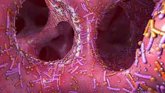 Foto: La microbiota, factor pronóstico en cáncer de colon, según un estudio
