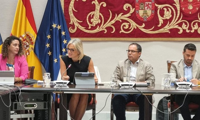 La consejera de Sanidad del Gobierno de Canarias, Esther Monzón, en comisión parlamentaria
