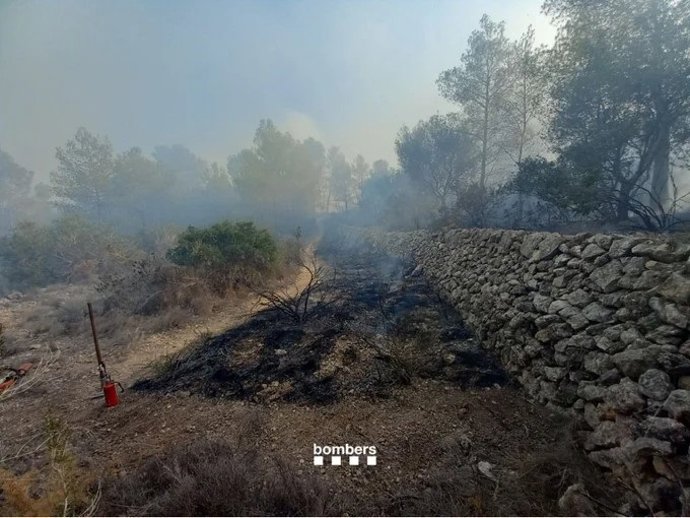 Controlado el incendio de Vespella de Gai (Tarragona)