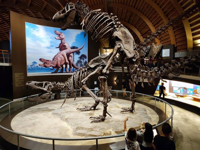 Archivo - Instalaciones del Museo Jurásico de Asturias (MUJA)