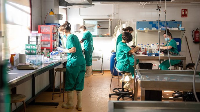 Archivo - Centro IREC de la UCLM