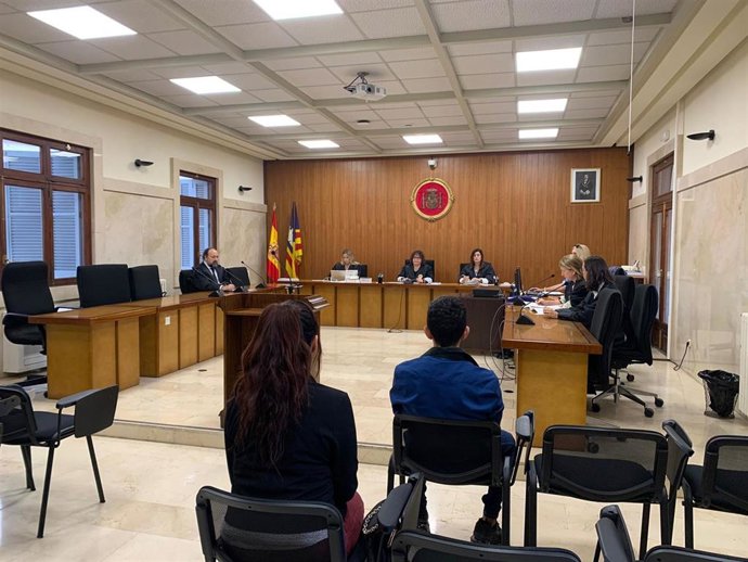 Vista previa en la Sección Segunda de la Audiencia Provincial