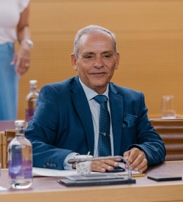 Archivo - El consejero de Empleo y Educación del Cabildo de Tenerife, Efraín Medina
